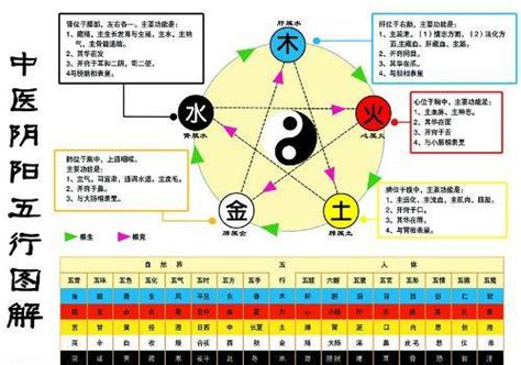 發達 意思 水生金 五行